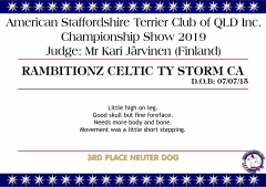 Rambitionz Celtic Ty Storm.png